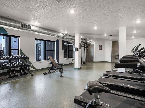 Modern fitness center at Solis at Jackson Station featuring treadmills, free weights, and strength training equipment in a bright, open space.
