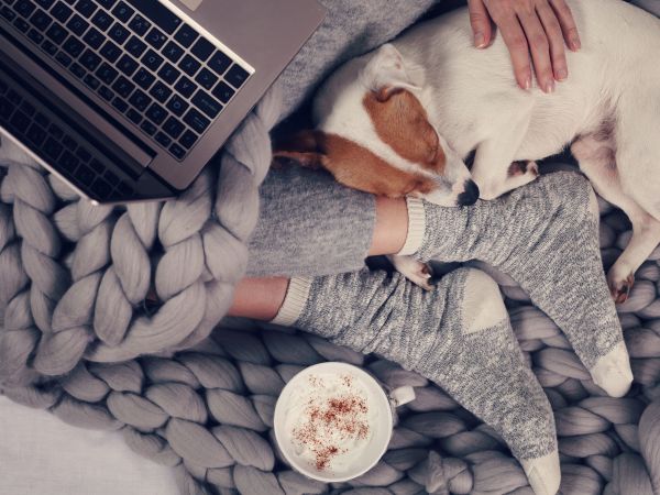 Resident relaxing at Solis at Jackson Station with a cozy blanket, laptop, cup of coffee, and a small dog resting nearby.